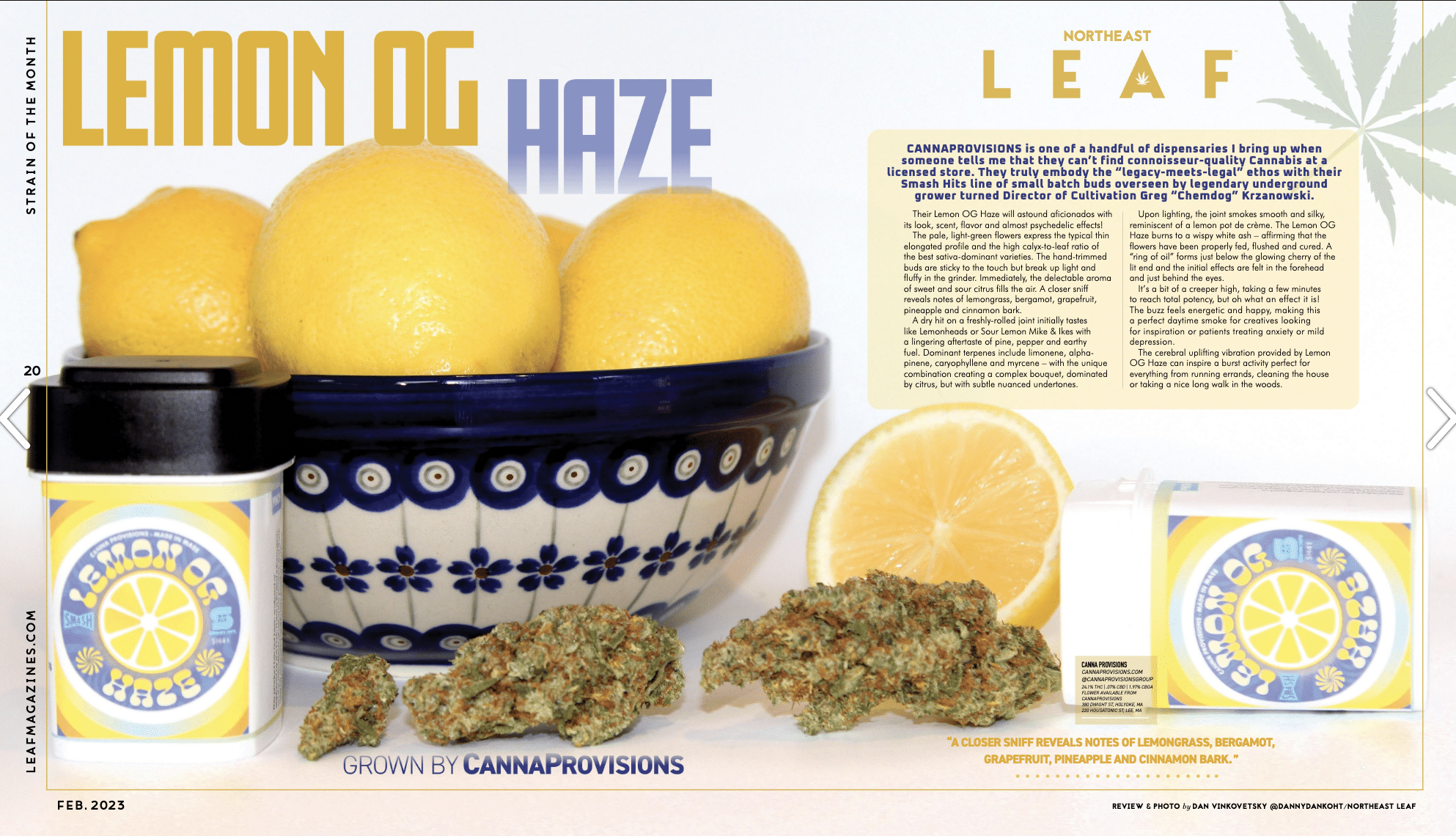 Smash Hits Lemon OG Haze Chemdog strain of the month Northeast Leaf Magazine February 2023